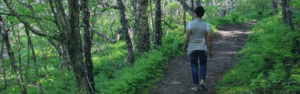 Travel Active