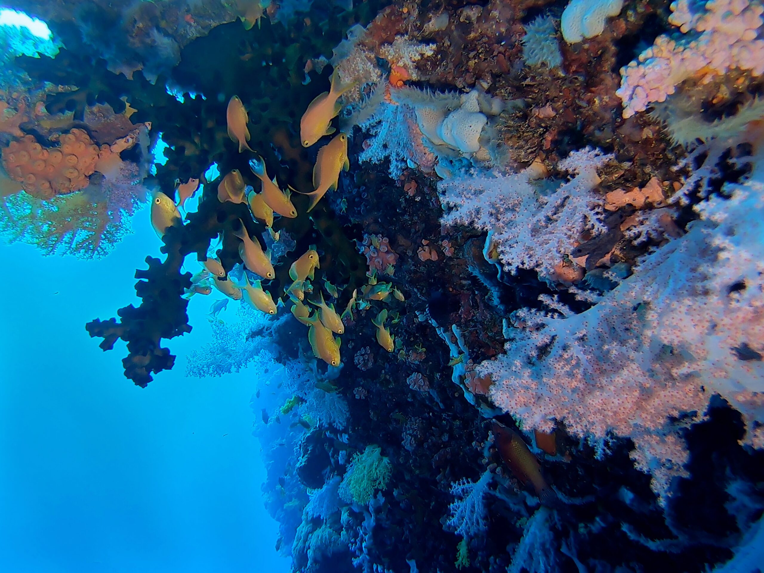 Philippines S2 Ep2 CEBU (3)