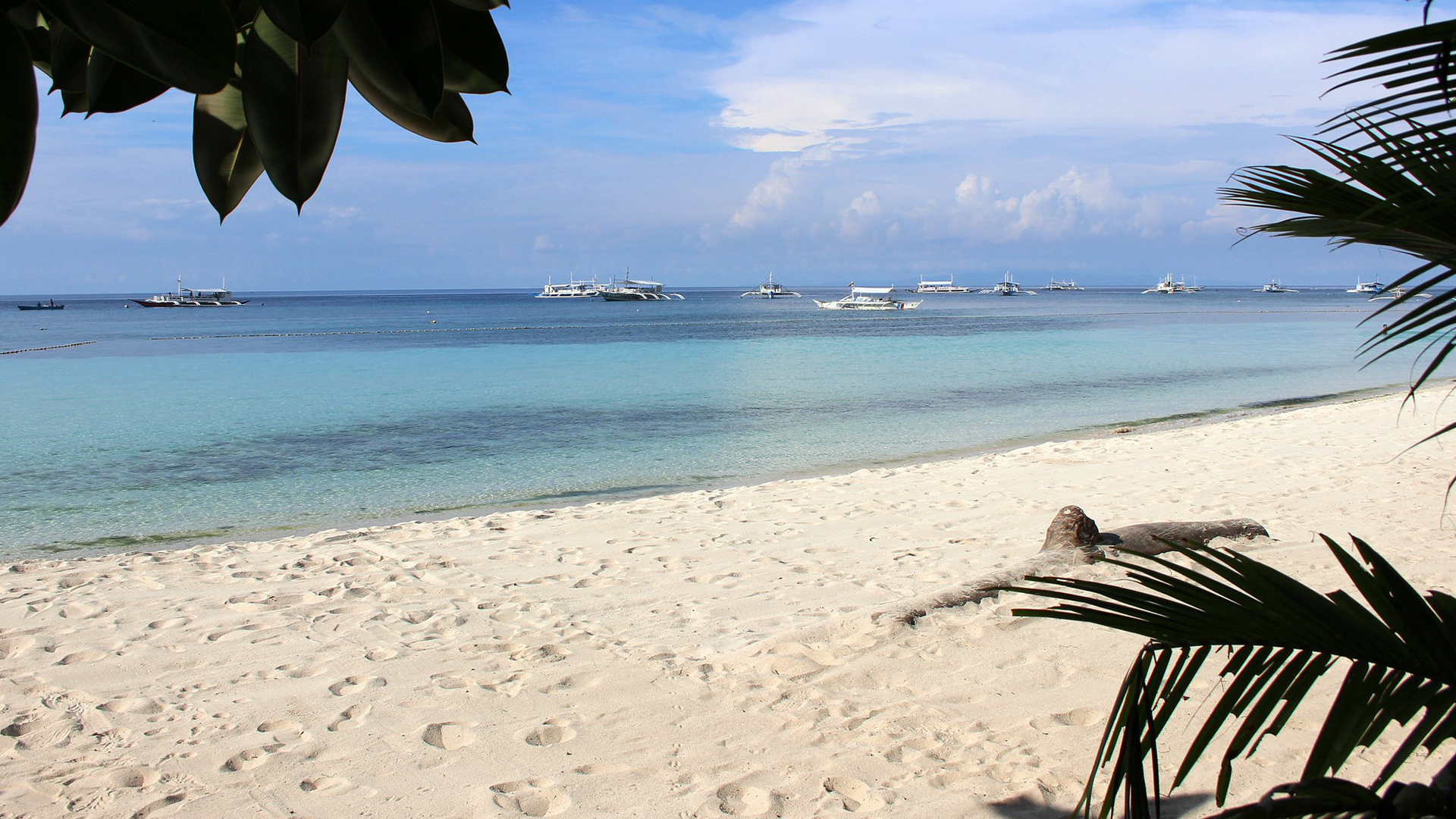 bohol_philippines