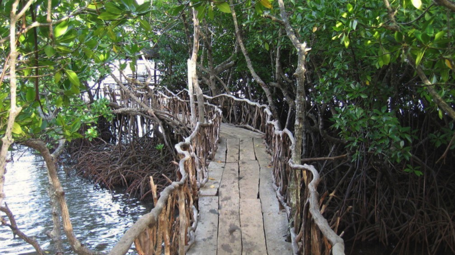 IMFITP S1E5 – PALAWAN (7)